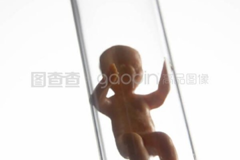 http://taizhou.nbgk120.com/post/209.html|台州捐卵费用