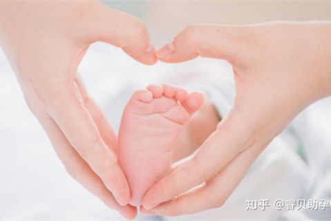 夏天台州捐卵宝宝发烧 莫要急
