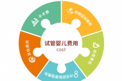 台州捐卵宝宝肚痛，父母该怎么办？